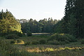 DSC08347 - Bernhard Saalfeld
