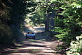 DSC08354 - Bernhard Saalfeld