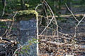 DSC08355 - Bernhard Saalfeld