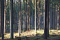 DSC08361 - Bernhard Saalfeld