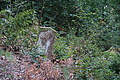 DSC08365 - Bernhard Saalfeld