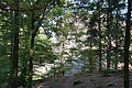 DSC08452 - Bernhard Saalfeld