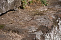 DSC08455 - Bernhard Saalfeld