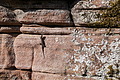 DSC08456 - Bernhard Saalfeld