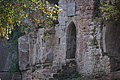 DSC08457 - Bernhard Saalfeld
