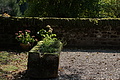 DSC08464 - Bernhard Saalfeld