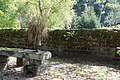 DSC08465 - Bernhard Saalfeld