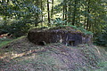 DSC08468 - Bernhard Saalfeld