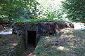 DSC08469 - Bernhard Saalfeld