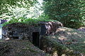 DSC08474 - Bernhard Saalfeld