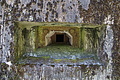 DSC08477 - Bernhard Saalfeld