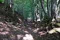 DSC08485 - Bernhard Saalfeld