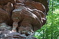 DSC08490 - Bernhard Saalfeld