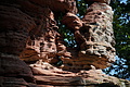 DSC08501 - Bernhard Saalfeld