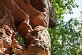 DSC08505 - Bernhard Saalfeld