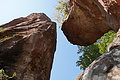 DSC08544 - Bernhard Saalfeld