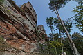 DSC08579 - Bernhard Saalfeld