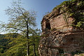 DSC08580 - Bernhard Saalfeld