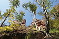 DSC08584 - Bernhard Saalfeld