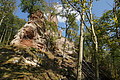 DSC08586 - Bernhard Saalfeld