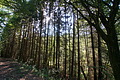 DSC08592 - Bernhard Saalfeld