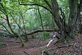 DSC08594 - Bernhard Saalfeld