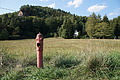 DSC08595 - Bernhard Saalfeld