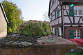 DSC08599 - Bernhard Saalfeld