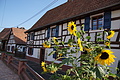 DSC08600 - Bernhard Saalfeld