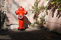 DSC08654 - Bernhard Saalfeld