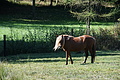 DSC08660 - Bernhard Saalfeld