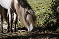 DSC08662 - Bernhard Saalfeld