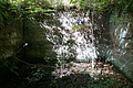 DSC08665 - Bernhard Saalfeld