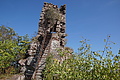 DSC08668 - Bernhard Saalfeld