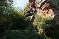 DSC08687 - Bernhard Saalfeld