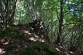 DSC08695 - Bernhard Saalfeld