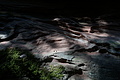 DSC08697 - Bernhard Saalfeld