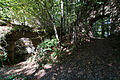 DSC08698 - Bernhard Saalfeld