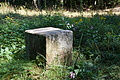 DSC08703 - Bernhard Saalfeld
