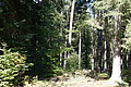 DSC08704 - Bernhard Saalfeld