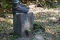 DSC08706 - Bernhard Saalfeld