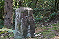DSC08708 - Bernhard Saalfeld