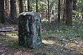 DSC08709 - Bernhard Saalfeld