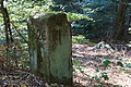 DSC08710 - Bernhard Saalfeld