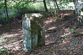 DSC08711 - Bernhard Saalfeld