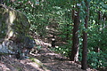 DSC08728 - Bernhard Saalfeld
