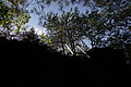 DSC08730 - Bernhard Saalfeld