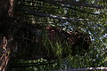 DSC08734 - Bernhard Saalfeld