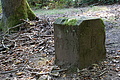 DSC08739 - Bernhard Saalfeld