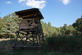 DSC08740 - Bernhard Saalfeld